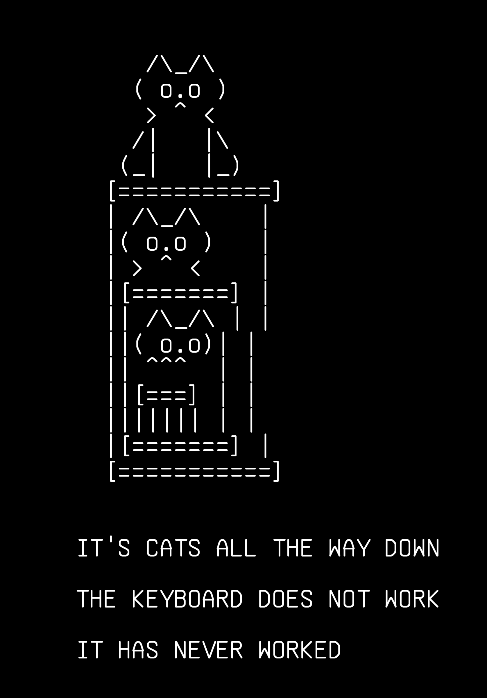 04-keyboard-cat, drawn on the grid.