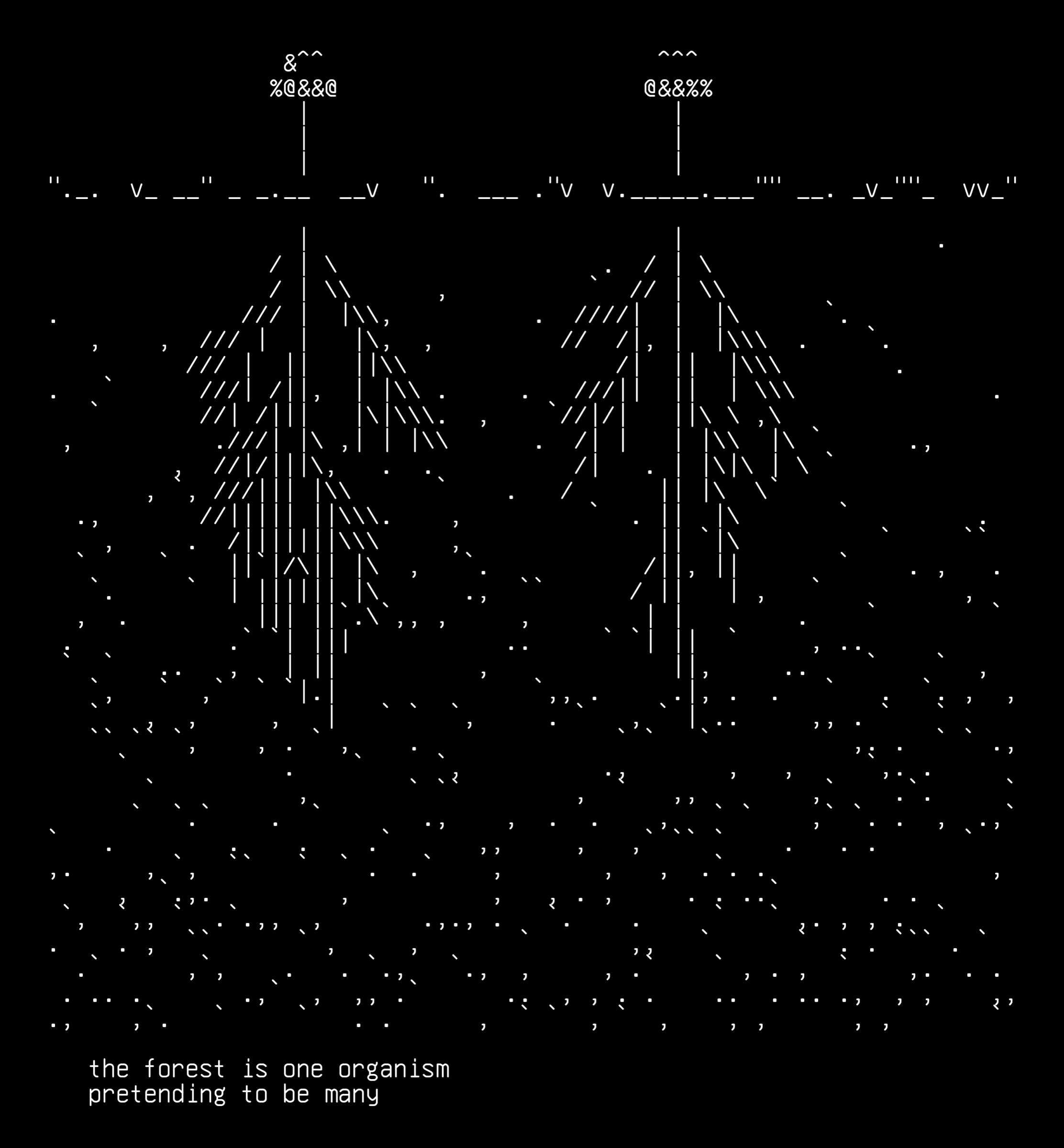 08-mycelium-net, drawn on the grid.