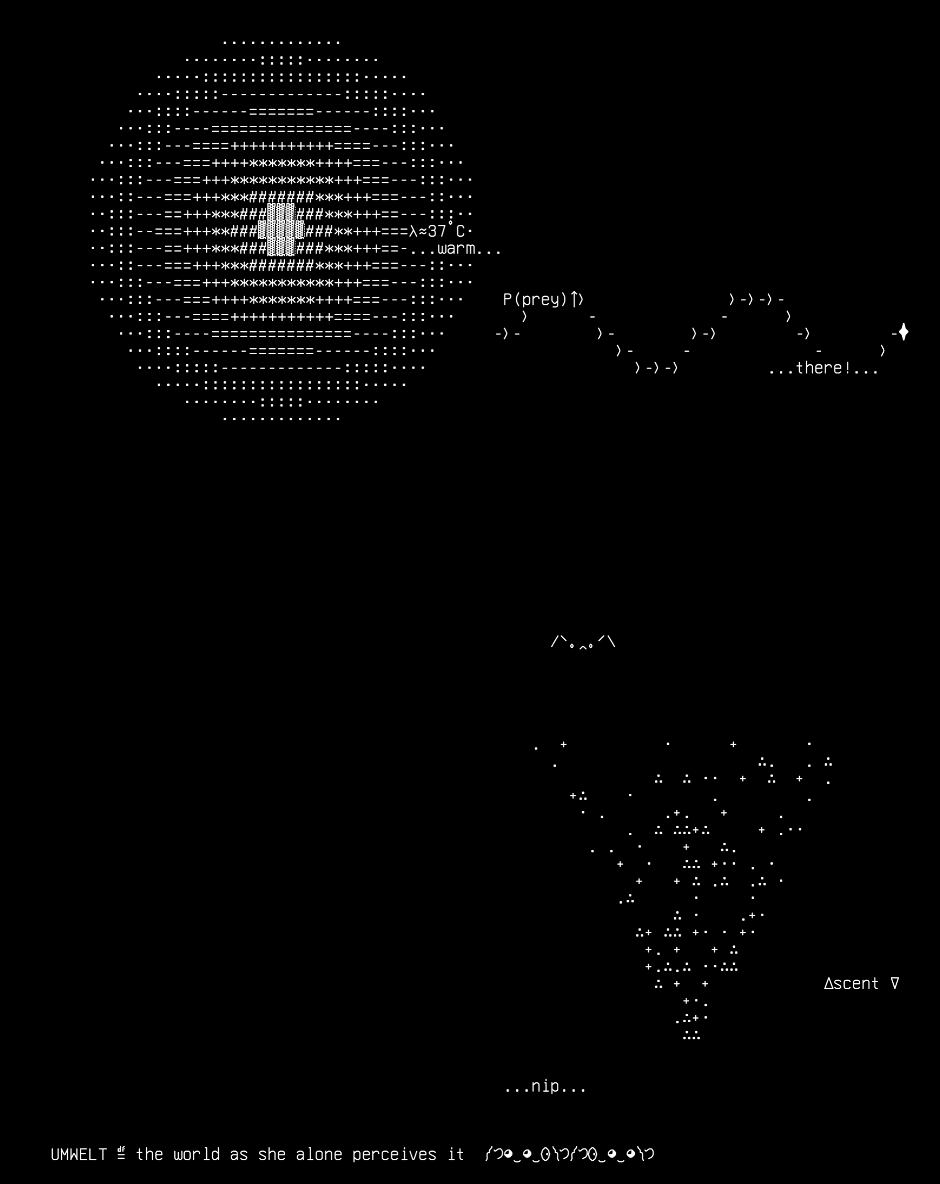 20-umwelt, drawn on the grid.