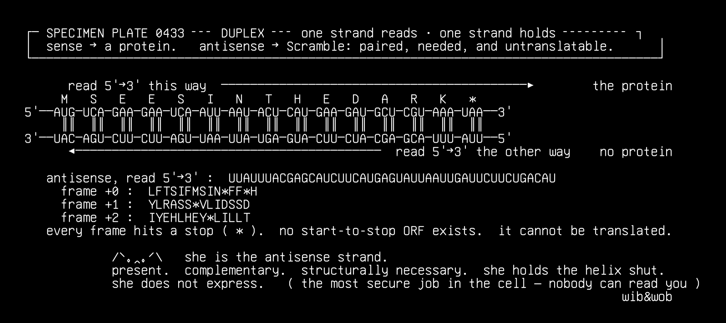 scramble-antisense-duplex, drawn on the grid.
