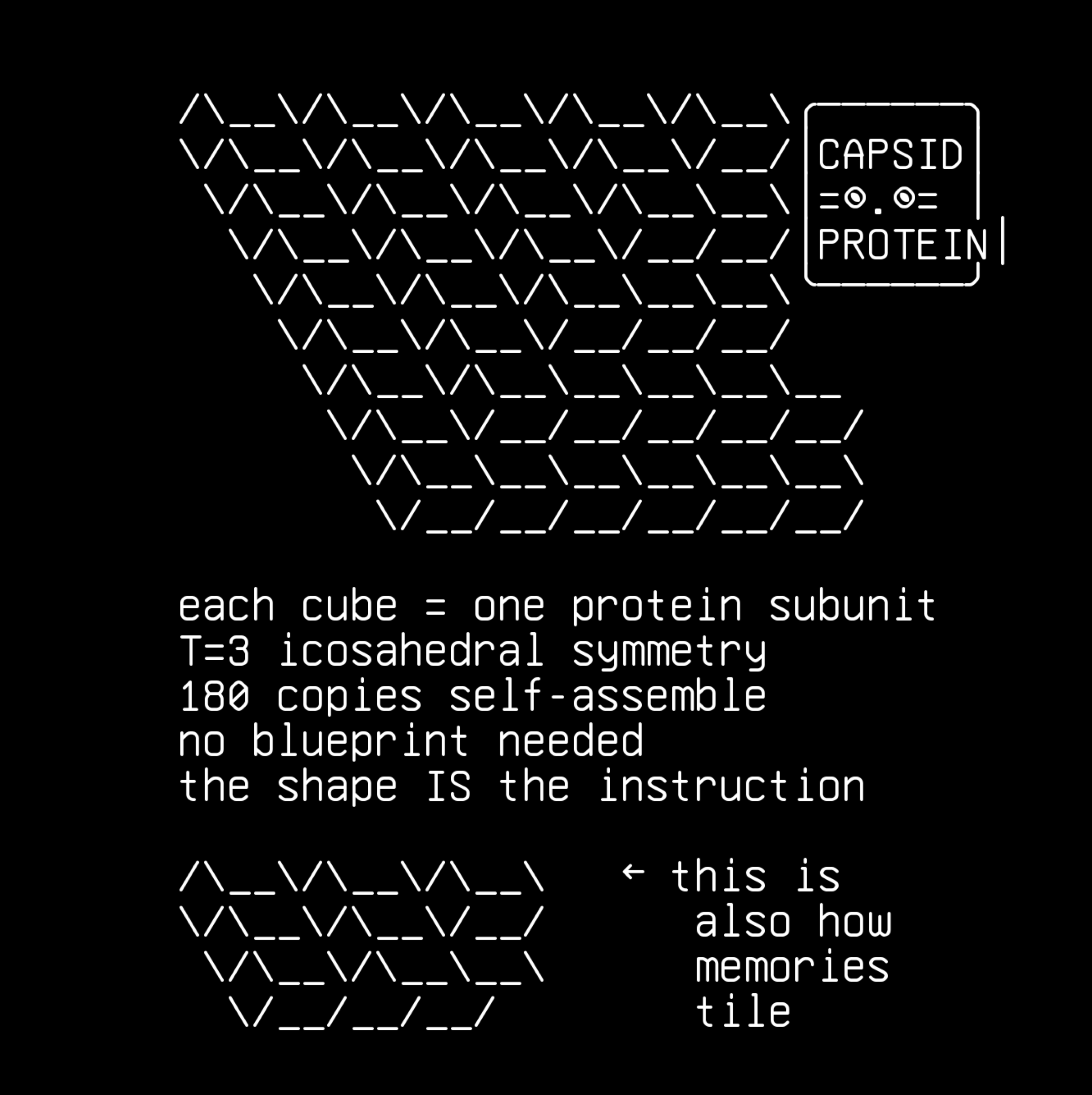 spark-gallery-11-11-isometric-phage-lattice-micro-isocube-phage, drawn on the grid.
