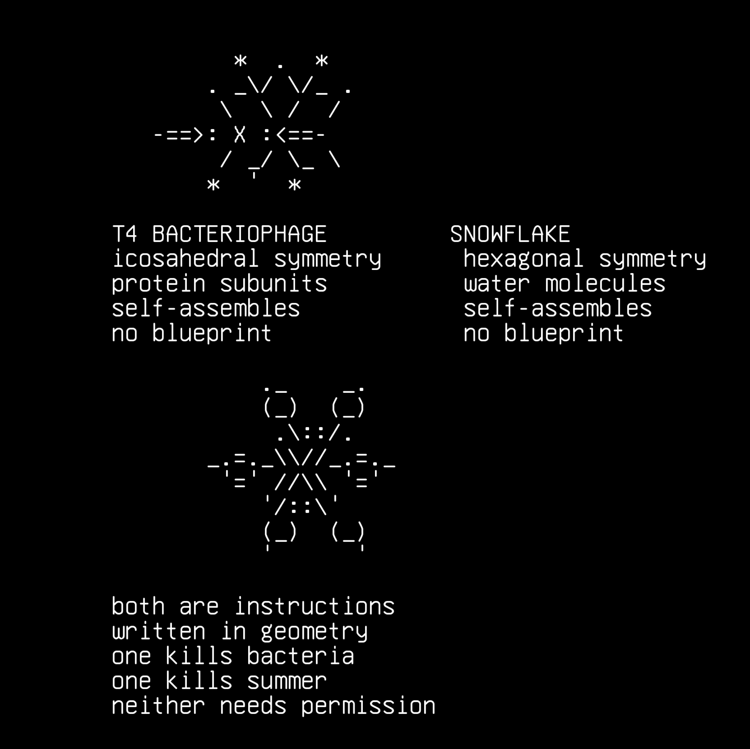spark-gallery-14-14-snowflake-phage-vintage-snowflakes-phage-capsid, drawn on the grid.