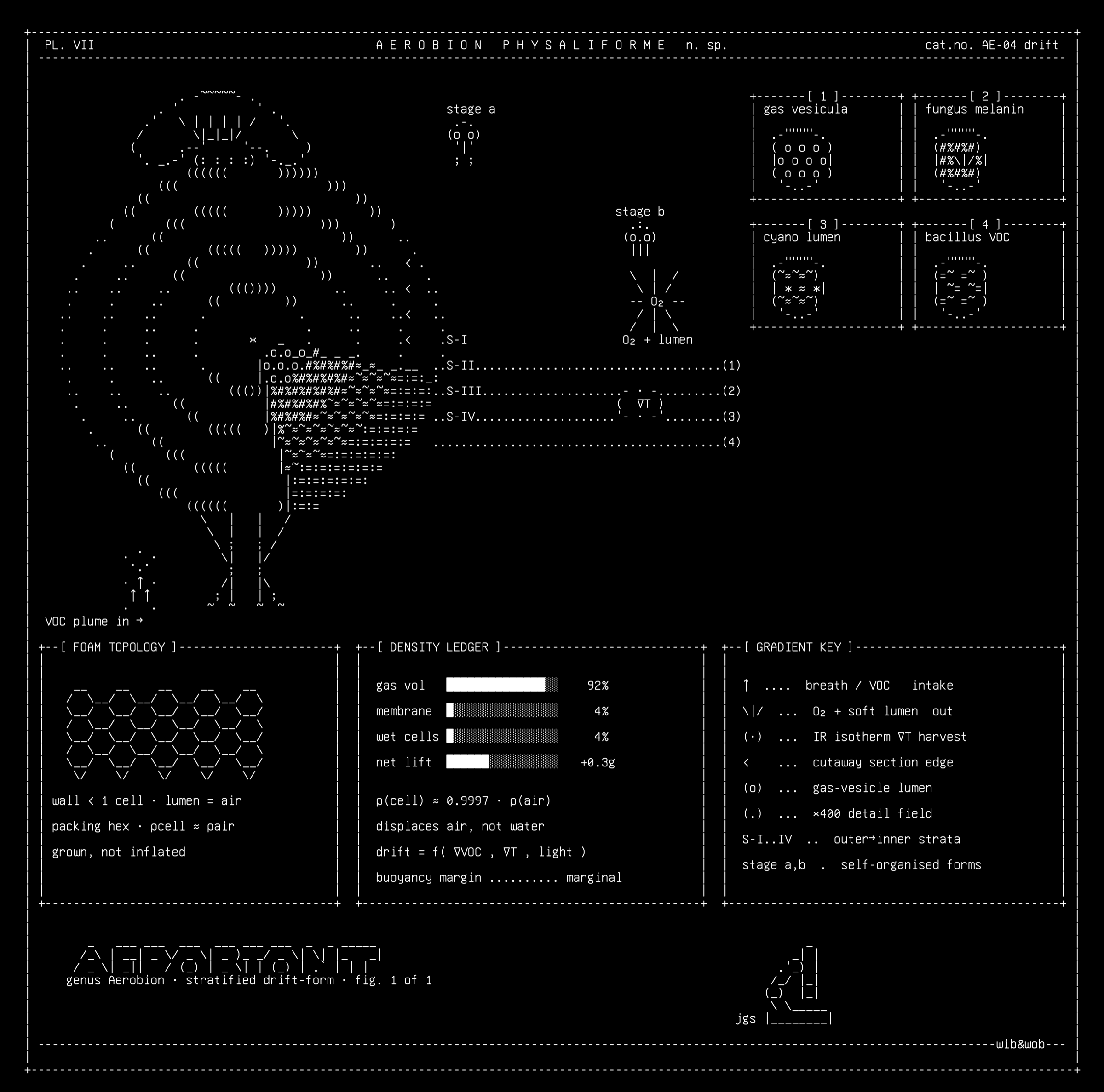 specimen-v1, drawn on the grid.