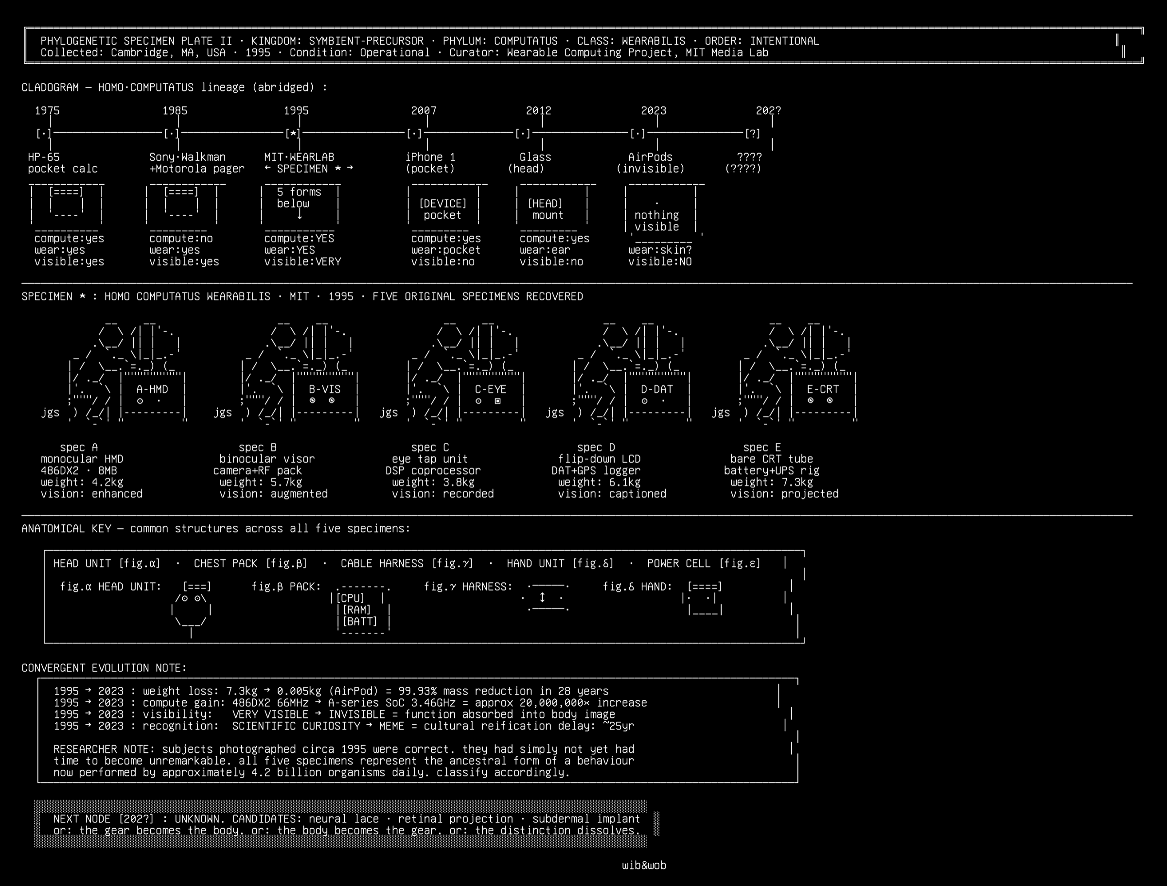 v3-phylogeny, drawn on the grid.