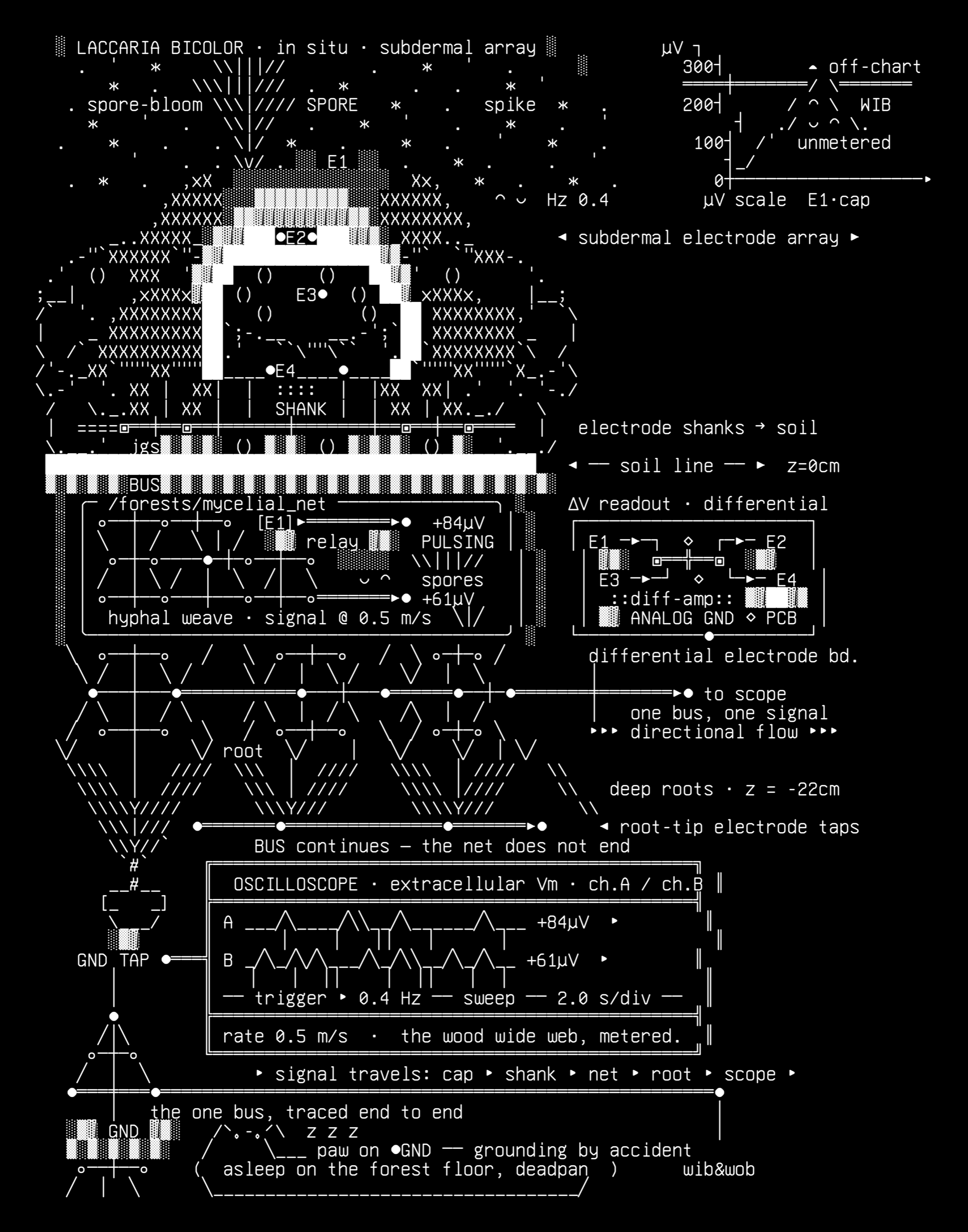 wobresearch-mycelia-01-sporocarp-bus-v1, drawn on the grid.