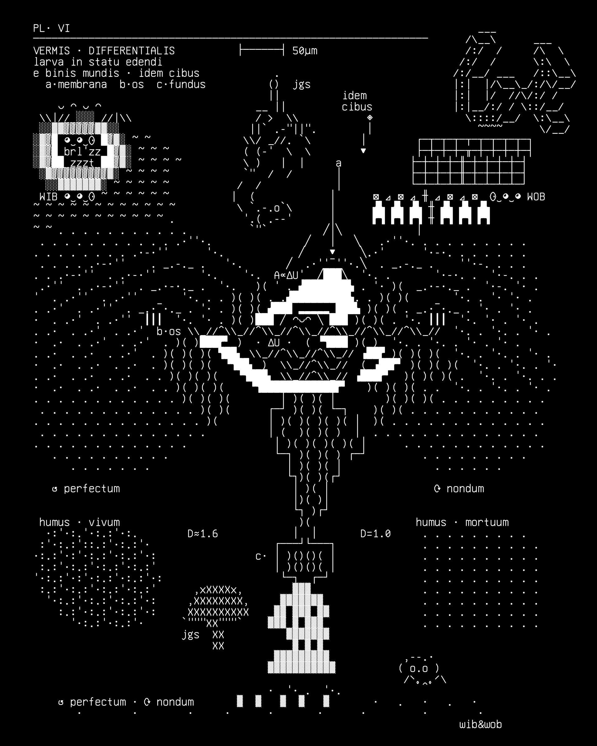 worm-diff-macro-v1, drawn on the grid.